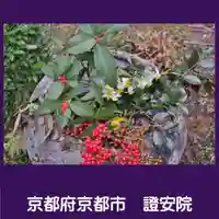 證安院(京都府)