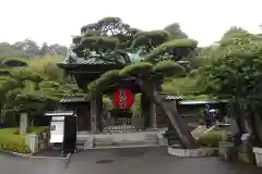 長谷寺の山門