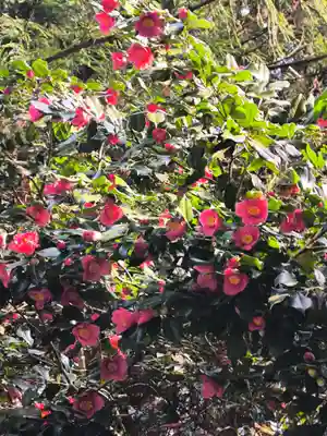 青海神社(新潟県)