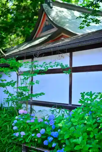 川越氷川神社(埼玉県)