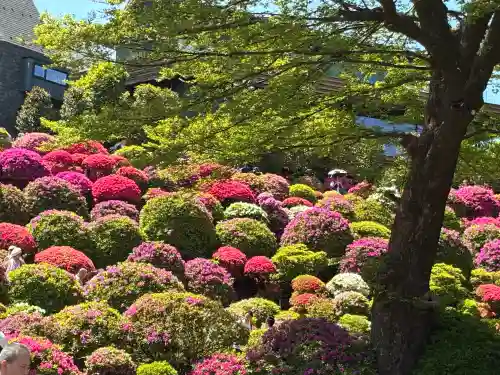 根津神社の{uncategorized: "未分類", other: "その他", undefined: "問題あり", building: "その他建物", grave: "お墓", sacred_gate: "鳥居", guardian: "狛犬", statue: "像", buddha: "仏像", history: "歴史", nature: "自然", garden: "庭園", animal: "動物", pagoda: "塔", temizu: "手水舎", mountain_gate: "山門・神門", sanctuary: "本殿・本堂", subordinate: "末社・摂社", art: "芸術", scenery: "景色", jizo: "地蔵", ema: "絵馬", goshuin: "御朱印", omikuji: "おみくじ", items: "授与品その他", amulet: "お守り", goshuincho: "御朱印帳", eats: "食事", festival: "お祭り", votive_dance: "神楽", shichigosan: "七五三参", wedding: "結婚式", experience: "体験その他", initially: "初詣", around: "周辺", anti_infection: "感染症対策"}