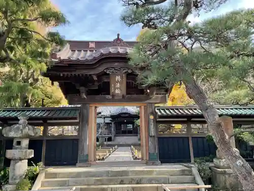 本蓮寺の山門