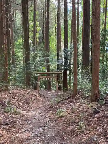 幣立神宮の鳥居