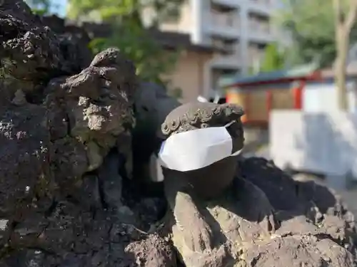 お三の宮日枝神社の狛犬