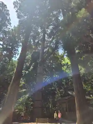 高千穂神社(宮崎県)