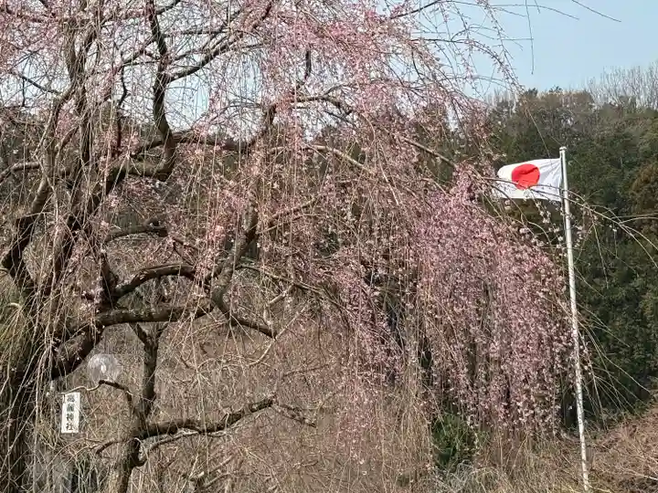 高麗神社(埼玉県)