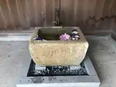 竹生島神社（都久夫須麻神社）の手水