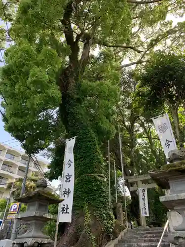 今宮神社の自然