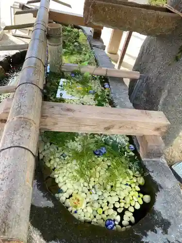 賀茂別雷神社（上賀茂神社）(京都府)