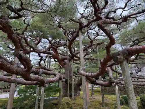 金澤神社(石川県)