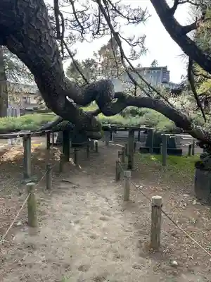菅原神社(群馬県)