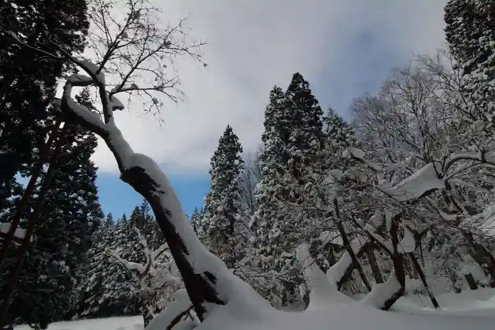 磐椅神社の自然