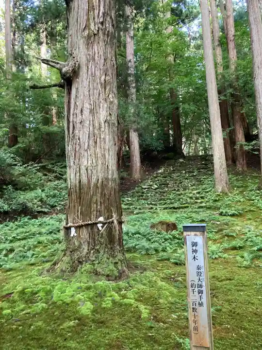 平泉寺白山神社(福井県)