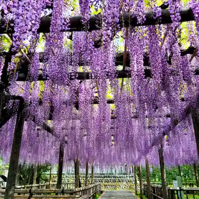 行興寺(静岡県)