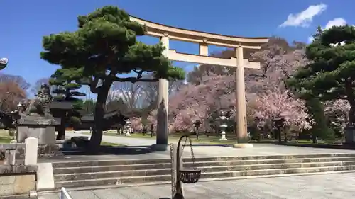 長野縣護國神社の鳥居