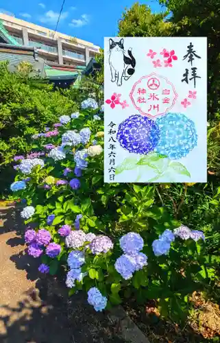 白金氷川神社の御朱印