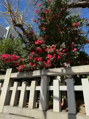 鳥越神社の{uncategorized: "未分類", other: "その他", undefined: "問題あり", building: "その他建物", grave: "お墓", sacred_gate: "鳥居", guardian: "狛犬", statue: "像", buddha: "仏像", history: "歴史", nature: "自然", garden: "庭園", animal: "動物", pagoda: "塔", temizu: "手水舎", mountain_gate: "山門・神門", sanctuary: "本殿・本堂", subordinate: "末社・摂社", art: "芸術", scenery: "景色", jizo: "地蔵", ema: "絵馬", goshuin: "御朱印", omikuji: "おみくじ", items: "授与品その他", amulet: "お守り", goshuincho: "御朱印帳", eats: "食事", festival: "お祭り", votive_dance: "神楽", shichigosan: "七五三参", wedding: "結婚式", experience: "体験その他", initially: "初詣", around: "周辺", anti_infection: "感染症対策"}