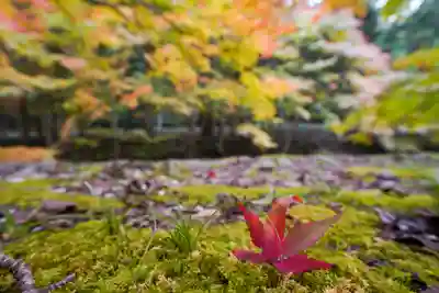 大寧寺(山口県)