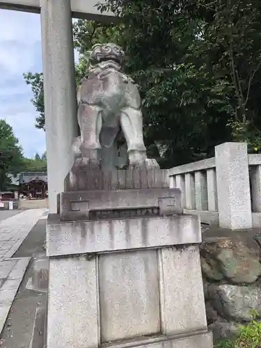 秩父神社の狛犬