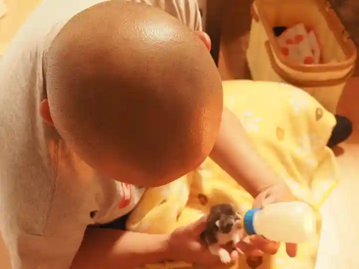 天王山 安楽寺(福井県)