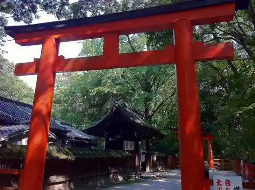 賀茂御祖神社（下鴨神社）の鳥居