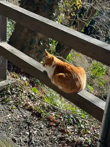 唐澤山神社(栃木県)