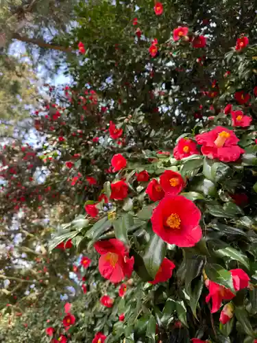 守りの神　藤基神社の庭園