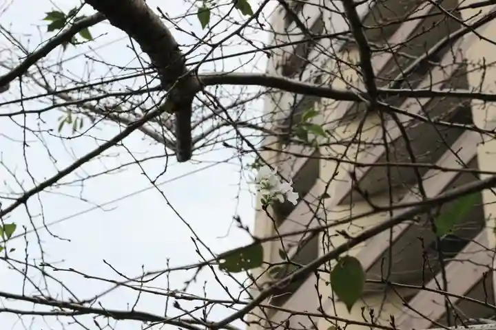 くまくま神社(導きの社 熊野町熊野神社)(東京都)