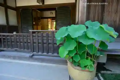 喜多院(埼玉県)