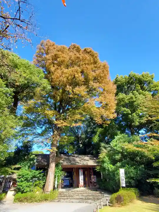 阿佐ヶ谷神明宮(東京都)