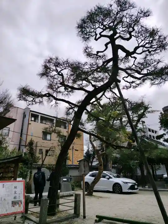 白峯神宮の{uncategorized: "未分類", other: "その他", undefined: "問題あり", building: "その他建物", grave: "お墓", sacred_gate: "鳥居", guardian: "狛犬", statue: "像", buddha: "仏像", history: "歴史", nature: "自然", garden: "庭園", animal: "動物", pagoda: "塔", temizu: "手水舎", mountain_gate: "山門・神門", sanctuary: "本殿・本堂", subordinate: "末社・摂社", art: "芸術", scenery: "景色", jizo: "地蔵", ema: "絵馬", goshuin: "御朱印", omikuji: "おみくじ", items: "授与品その他", amulet: "お守り", goshuincho: "御朱印帳", eats: "食事", festival: "お祭り", votive_dance: "神楽", shichigosan: "七五三参", wedding: "結婚式", experience: "体験その他", initially: "初詣", around: "周辺", anti_infection: "感染症対策"}
