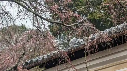 十輪寺(京都府)