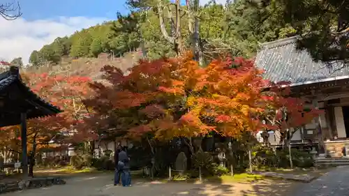 西明寺(京都府)