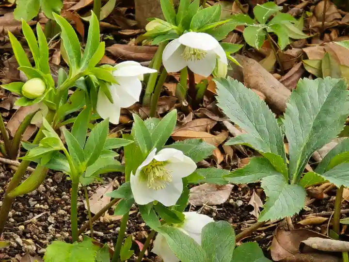 円照寺(兵庫県)