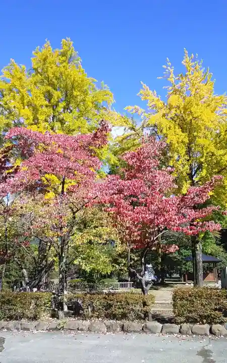 眞田神社の自然