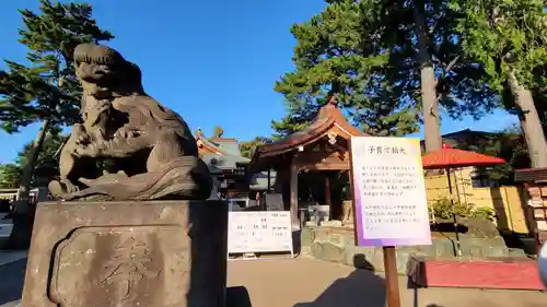 中野沼袋氷川神社の狛犬