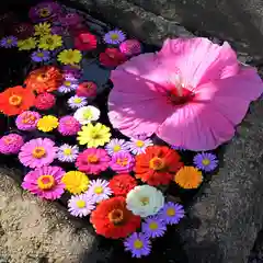 大鏑神社の手水