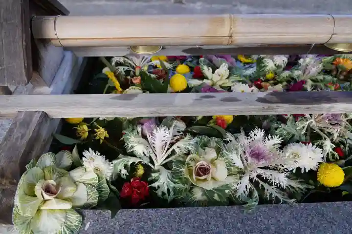 豊景神社の手水舎