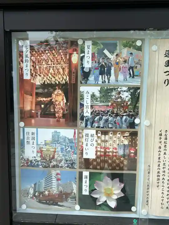 白山神社(新潟県)