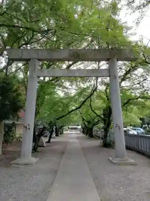 酒見神社の鳥居