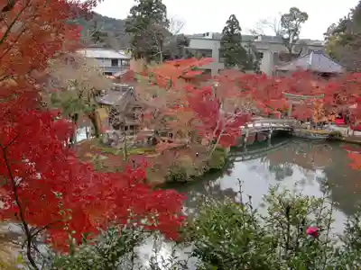 禅林寺(永観堂)(京都府)