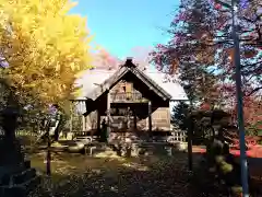 芽生神社の本殿