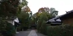 木嶋坐天照御魂神社の建物その他