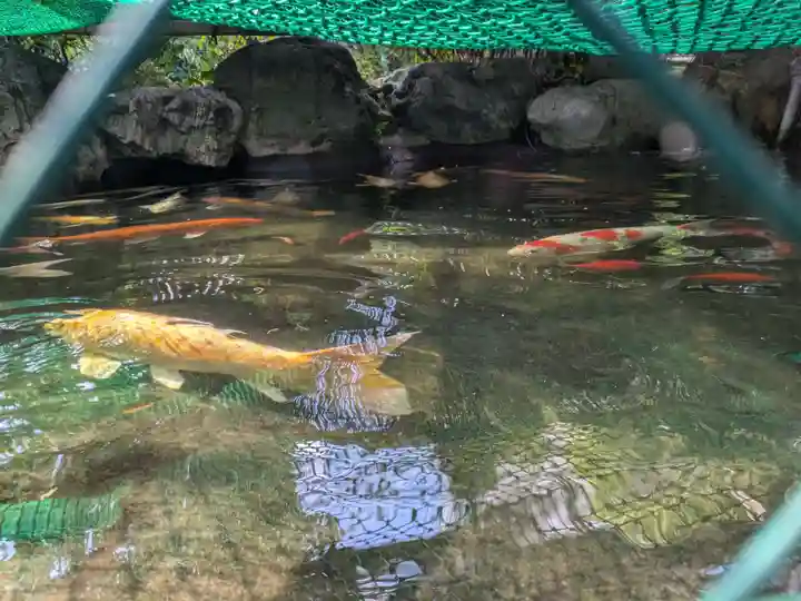 龍眼寺(萩寺)(東京都)