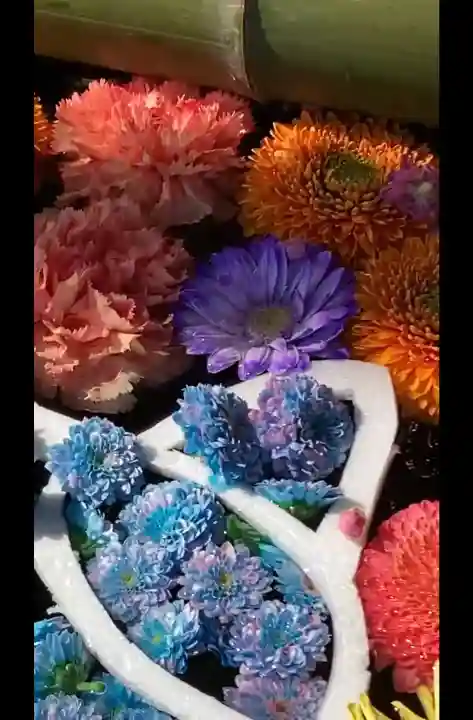 前玉神社の{uncategorized: "未分類", other: "その他", undefined: "問題あり", building: "その他建物", grave: "お墓", sacred_gate: "鳥居", guardian: "狛犬", statue: "像", buddha: "仏像", history: "歴史", nature: "自然", garden: "庭園", animal: "動物", pagoda: "塔", temizu: "手水舎", mountain_gate: "山門・神門", sanctuary: "本殿・本堂", subordinate: "末社・摂社", art: "芸術", scenery: "景色", jizo: "地蔵", ema: "絵馬", goshuin: "御朱印", omikuji: "おみくじ", items: "授与品その他", amulet: "お守り", goshuincho: "御朱印帳", eats: "食事", festival: "お祭り", votive_dance: "神楽", shichigosan: "七五三参", wedding: "結婚式", experience: "体験その他", initially: "初詣", around: "周辺", anti_infection: "感染症対策"}