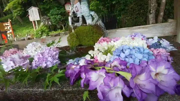 出雲大神宮の手水舎