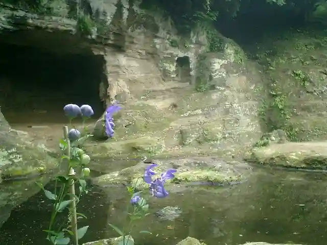 瑞泉寺のその他建物