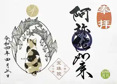 見開き月替り御朱印は「ジャパニーズボブテイル(三毛)とアマドコロ」。
日本発祥の短い尻尾が特徴の日本猫が今回の主人公。
アマドコロは薬用としても使われる野草とのことですが、見たことあるかなぁ🤔
今月は阿弥陀如来様で頂きました。