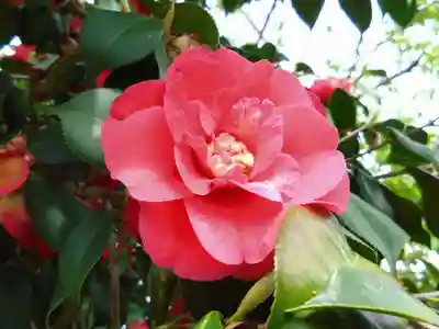 椿宮神明社(愛知県)