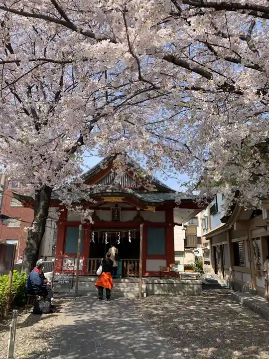浅草富士浅間神社の本殿・本堂